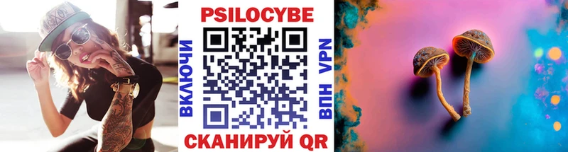 Псилоцибиновые грибы мицелий  Вичуга 